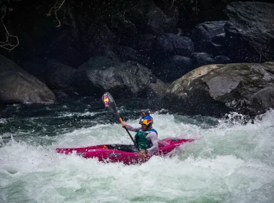 malabar-river-festival-2025-1748510377_b6957c0dbb17857b504e-560x416-1