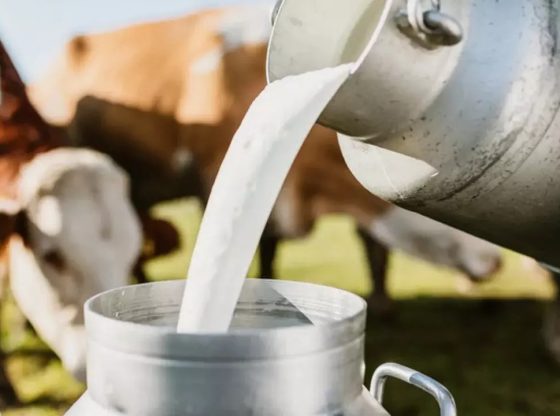 milk-560x416-1