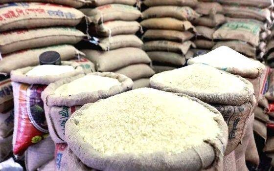 rice-560x350-1